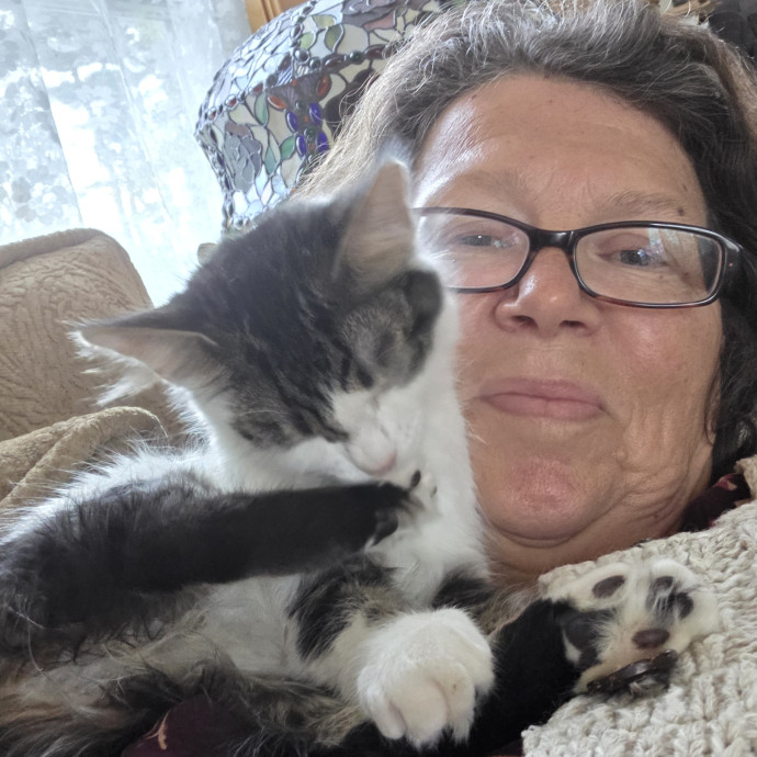 Loving Care For Your Cats