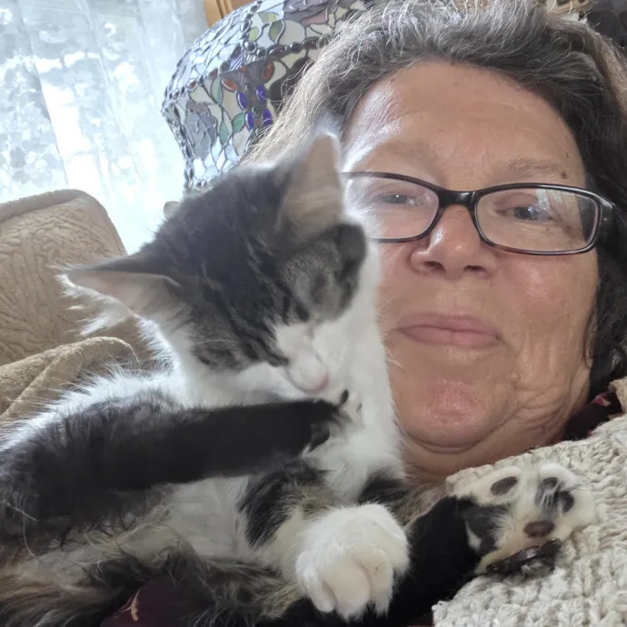 Loving Care For Your Cats