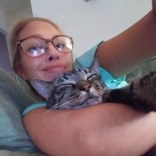 Michelle's Cat Cuddles Of Raleigh