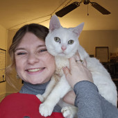 Experienced And Loving Cat Caretaker