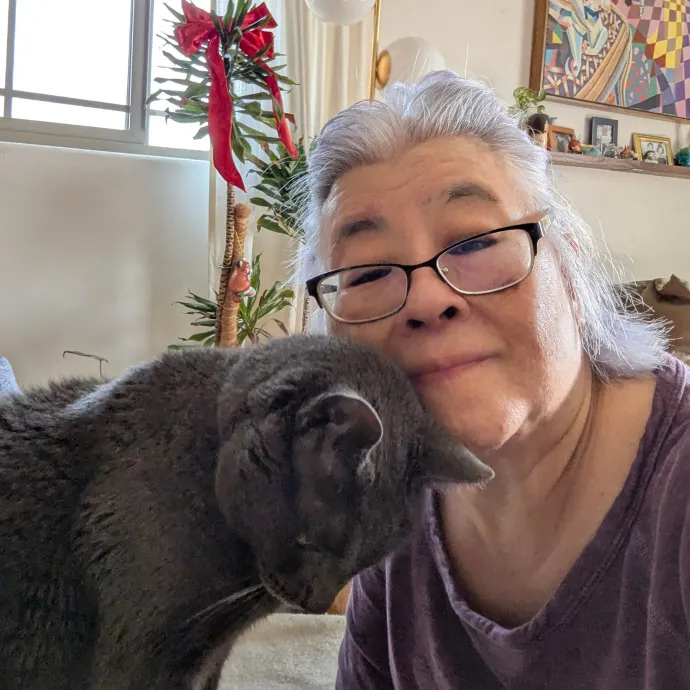 Cat Companion Caregiver Playful Sitter