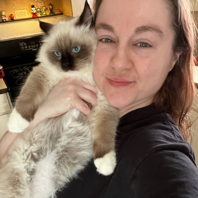 Gentle Cat Whisperer Gentle Cat Whisperer