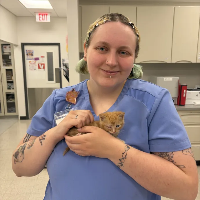 Vet Assistant Cat Mom Of 6