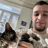 Chill Work-From-Home Cat Parent