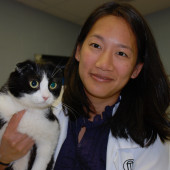 Skilled Cat Lover
