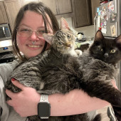 Your Cat's Best Friend