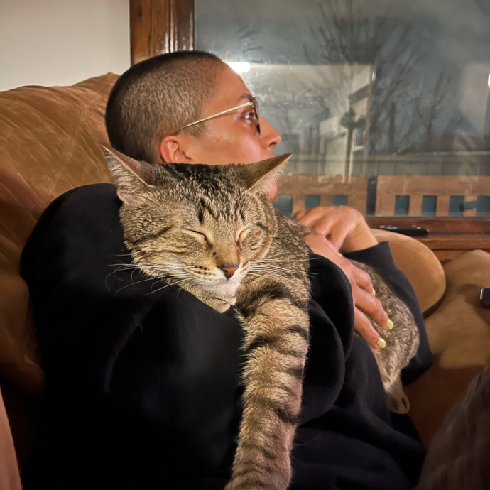Itzy  Cat Sitter  Chicago Il