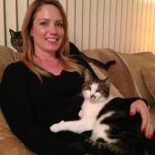 Calm Experienced Cat Care- Med Friendly