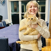 Caring And Experienced Cat Sitter