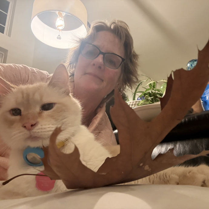 Experienced Cat And Foster Parent