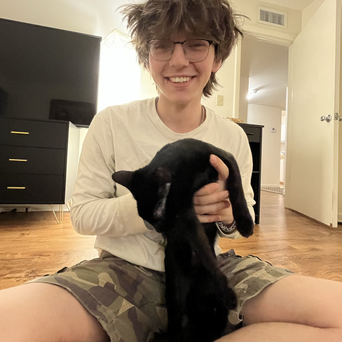 I Sit Kitties