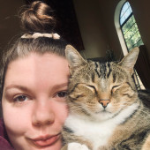 Providing Cat Care With Compassion