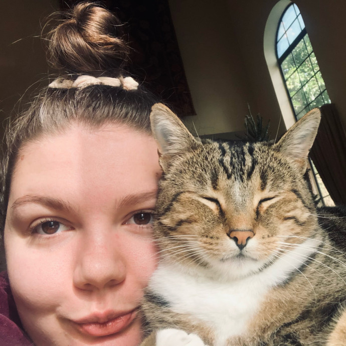 Providing Cat Care With Compassion