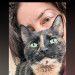 Caring Cat Sitter