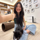 Sherry's Pawfect Pet Playground