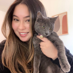 Victoria's Cat Corner Of Manhattan Victoria's Cat Corner Of Manhattan