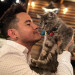 Cat Care - Loving Your Cats Like Mine