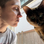 Cat Lover Who Wants To Meet Your Kitty