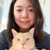 Calm Detail-Oriented Nyc Cat Sitter