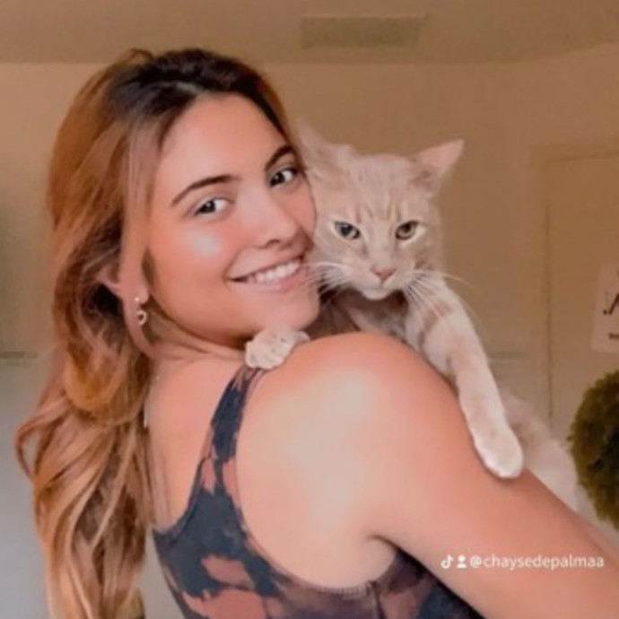 Cat Lover Cat Lover