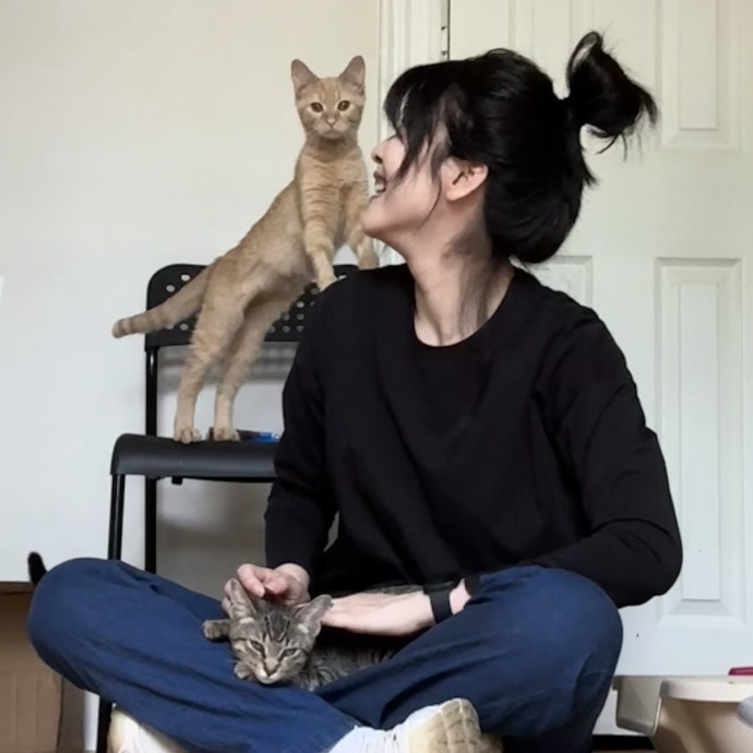 Patient Reliable Caring Cat Sitter