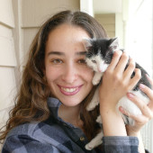 Nina's Kitty Corner