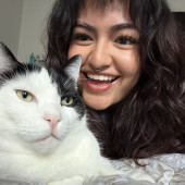 Purr-Fect Care For Your Beloved Cat