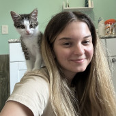 Experienced Cat Sitter Foster Parent