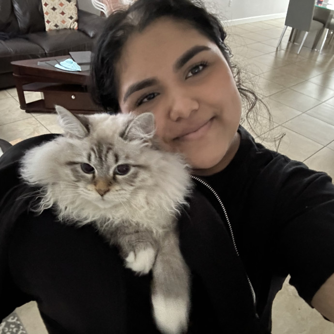 Purr-Fectly Reliable