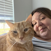 Love Cats I Have 6 So It Must Be True