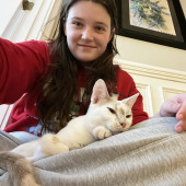 Friendly College Cat Sitter