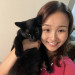 Your Cat's New Favorite Sitter
