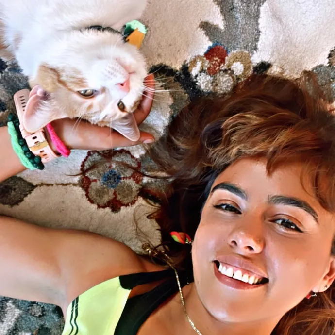 Proven Top-Rated Cat Care Nyc  Queens