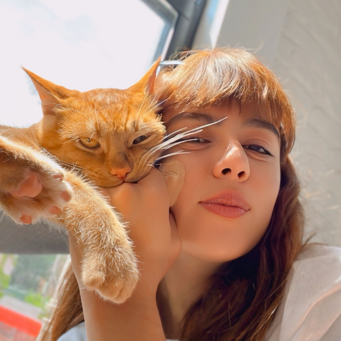Haidy's Cat Care Trusted Top-Rated Nyc