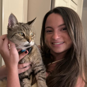 Kitty Admirer And Carer