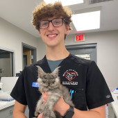 Experienced Vet Assistant Cat Sitter