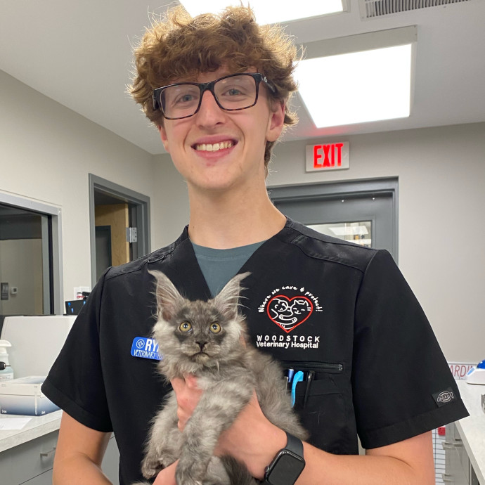 Experienced Vet Assistant Cat Sitter Experienced Vet Assistant Cat Sitter