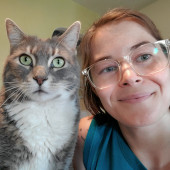 Nat's Happy Cats Converse