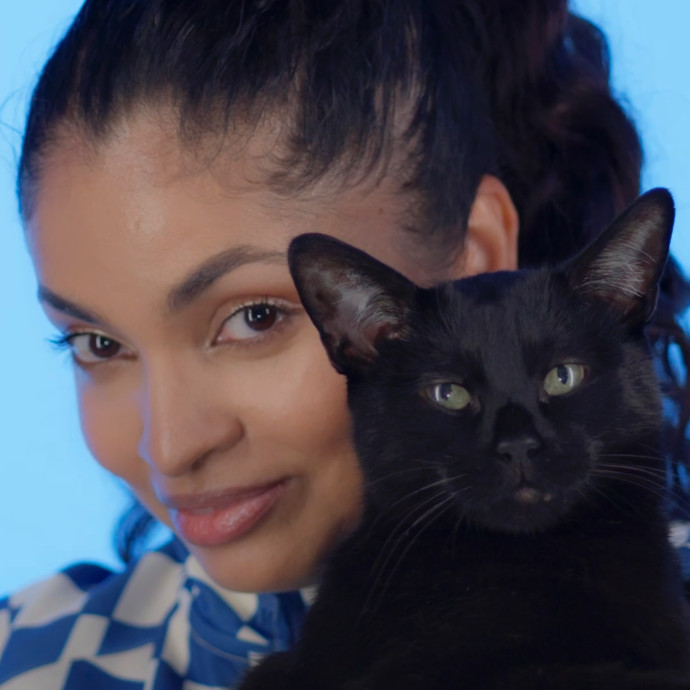 Reliable Sitter Who Love Cats Very Much Reliable Sitter Who Love Cats Very Much
