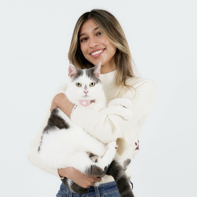 Fatima's Cat Sitting