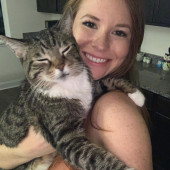 Pawsome Cat Sitting