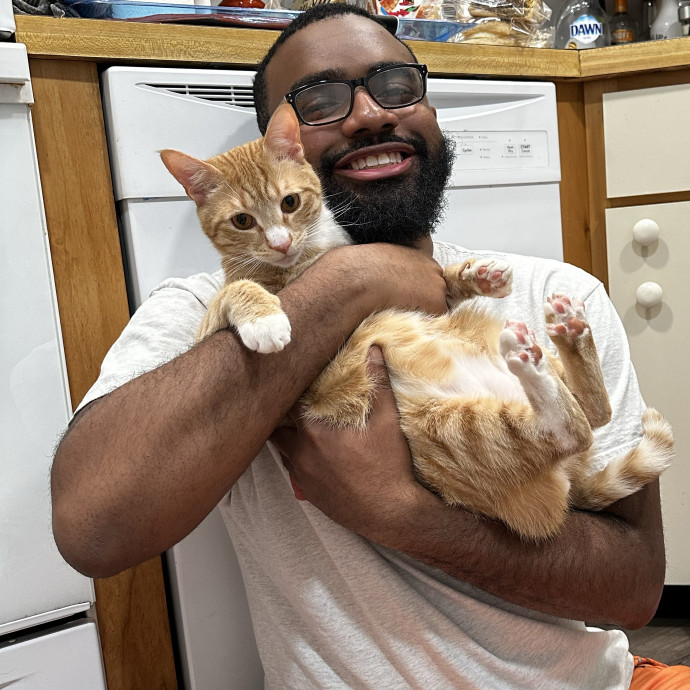 Cat Sitter With Multi Cat Experience