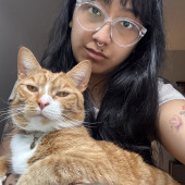 Impawsible Love - Ready To Pamper