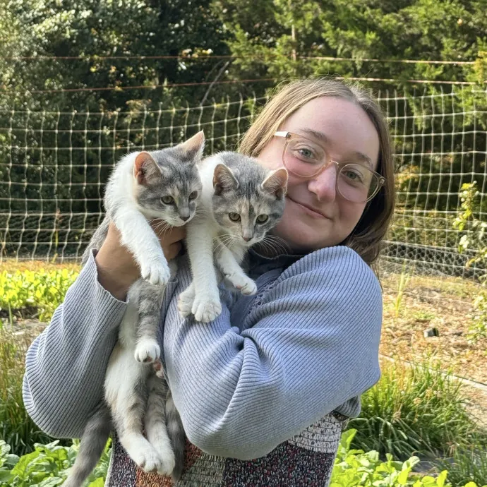 Passionate And Professional Cat Sitter