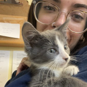 Vet Tech Of 10 Years And Proud Cat Mom