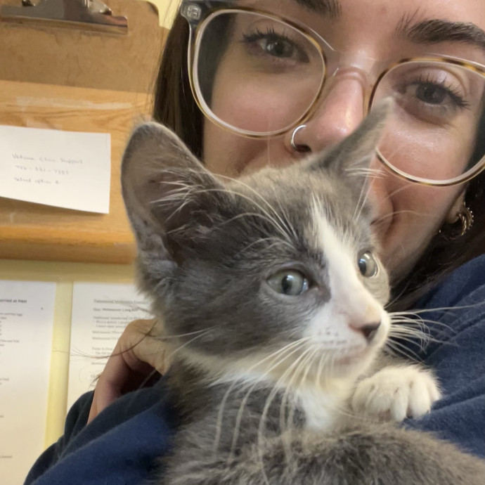 Vet Tech Of 10 Years And Proud Cat Mom