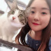 Reliable And Easy-Going Cat Lover
