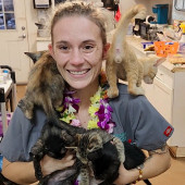 Fear Free  Medically Trained Cat Sitter