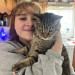 Crazy Cat Lady 75 5 Star Reviews