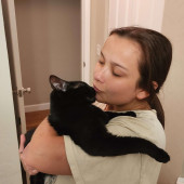 Your Kitty's New Best Friend